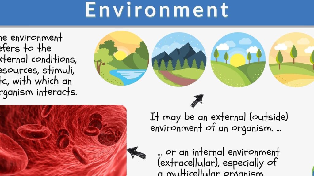 The Meaning of Environment Exploring its Significance and Impact