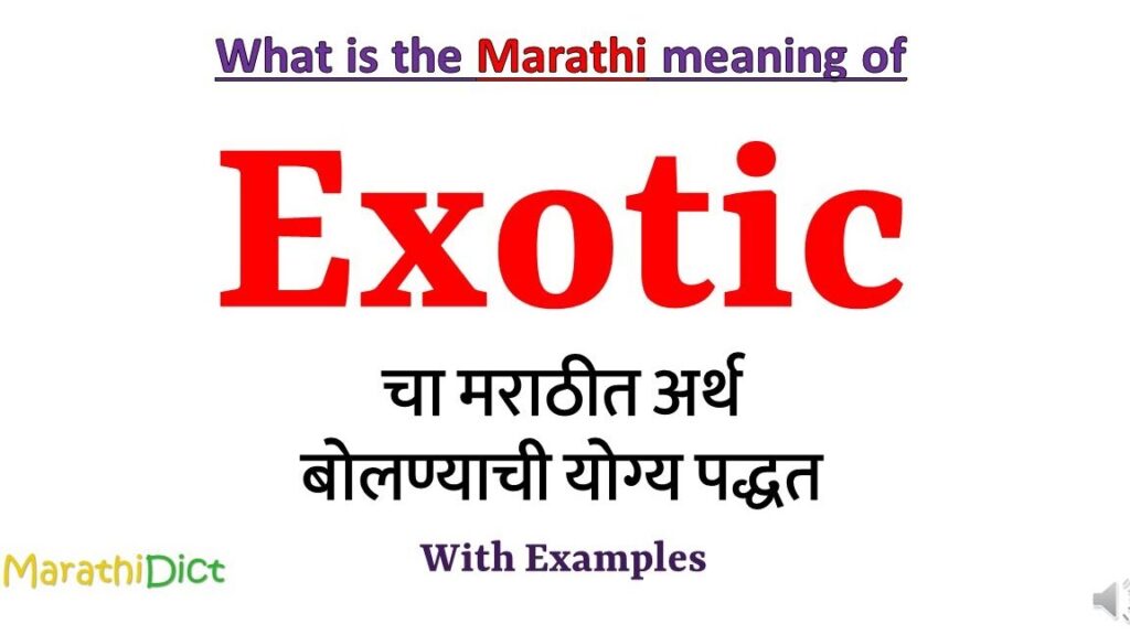 The Intriguing Exotic Meaning in Marathi: Unlocking the Cultural Wonders The Intriguing Exotic Meaning in Marathi: Unlocking the Cultural Wonders