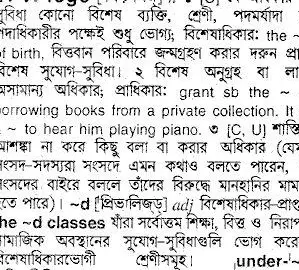 The Meaning of Privilege in Bengali Culture: Exploring its Significance and Impact