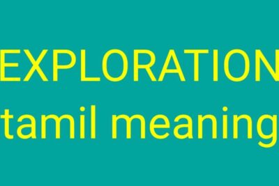 Unlocking the Meaning: Exploring Tamil's Available Interpretations